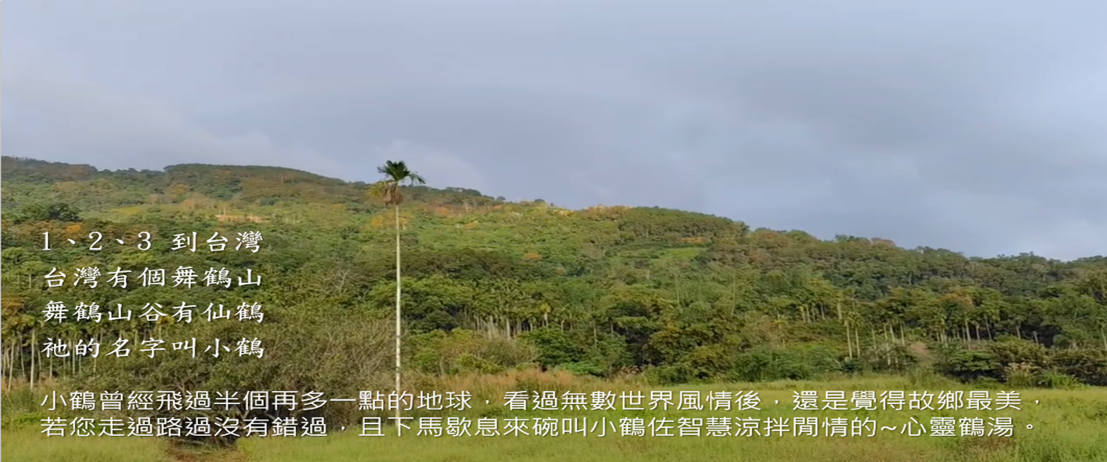 今日舞鶴引言全景圖
