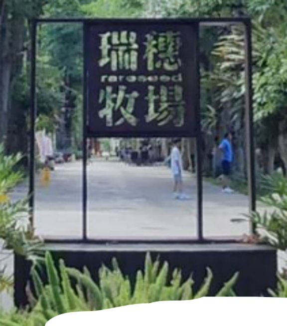 瑞穗牧場 1