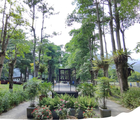 瑞穗牧場 2